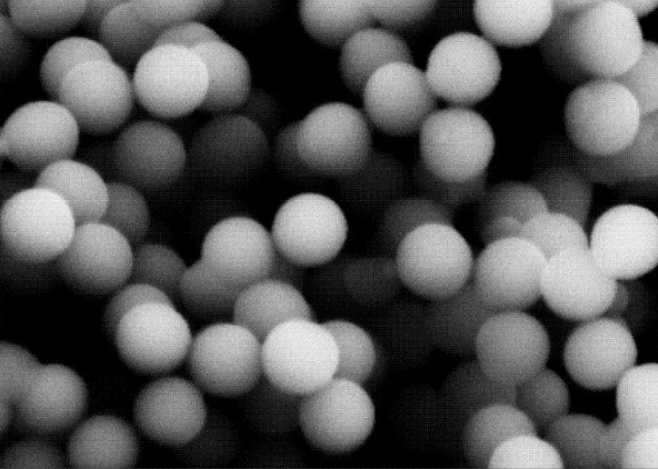 1761554328406235.png image.png